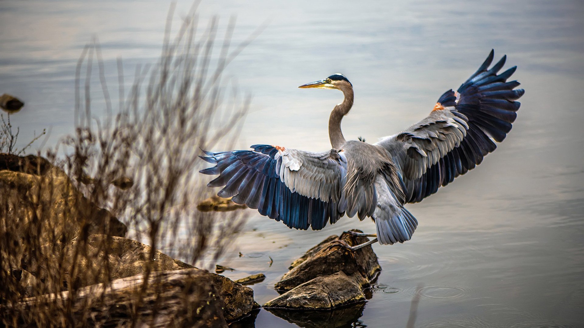 爱游戏娱乐-跨洋逆袭！乔治41分神迹，公牛绝地翻盘引爆沈阳