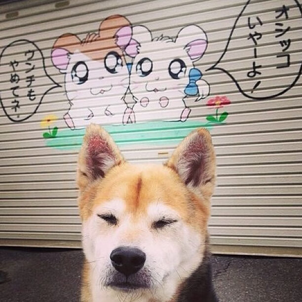 爱游戏下载-绝地反击，索伯战术险胜迈凯伦，阿隆索强势回归点燃赛道