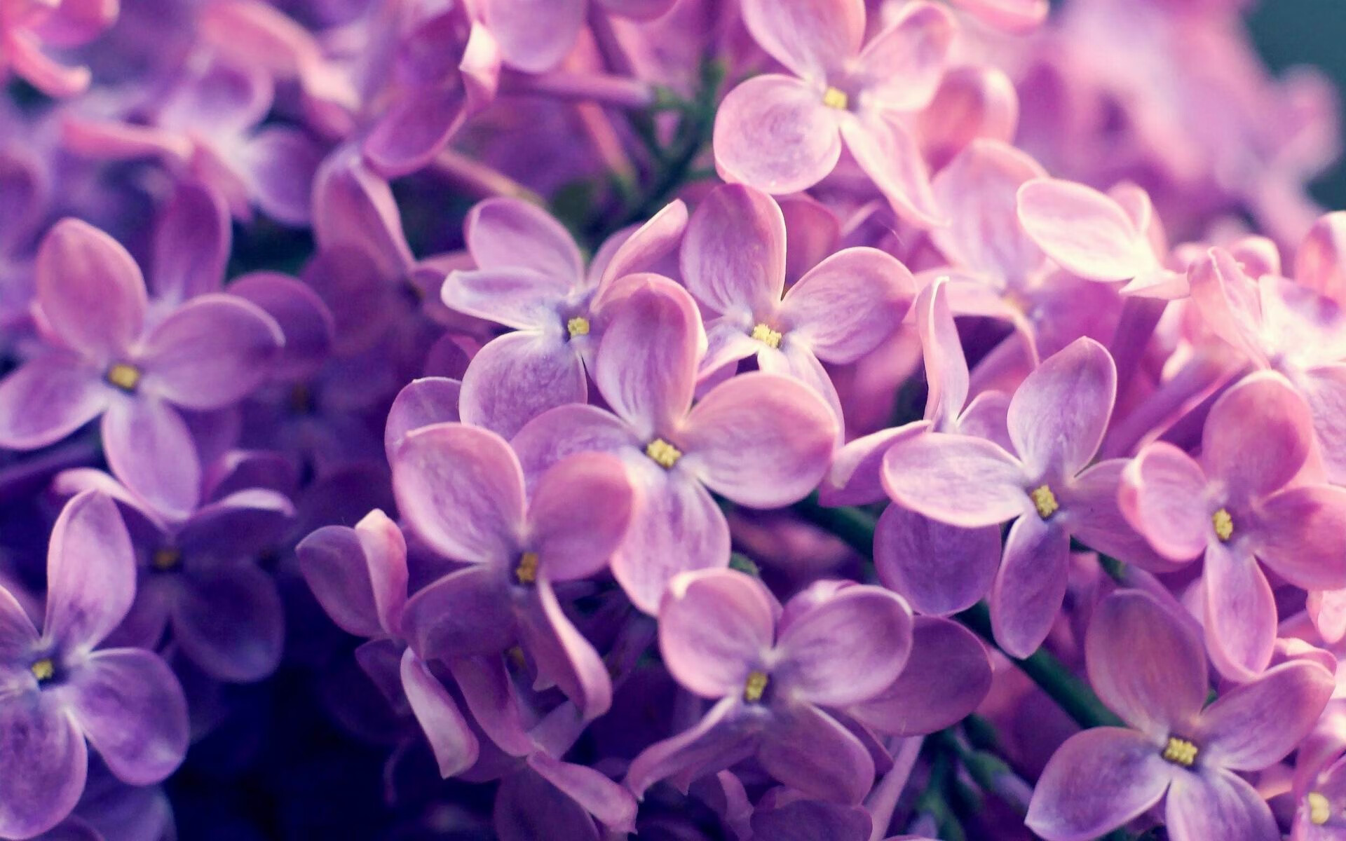 雅加达客场的焰火，当郑思维点燃的不止是赛场