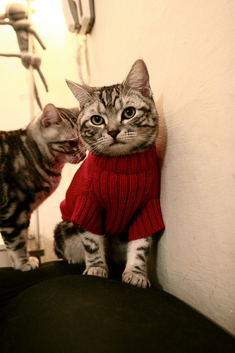 弃将的刀刃，拉塞尔手刃旧主，红牛绝境逆转威廉姆斯之谜