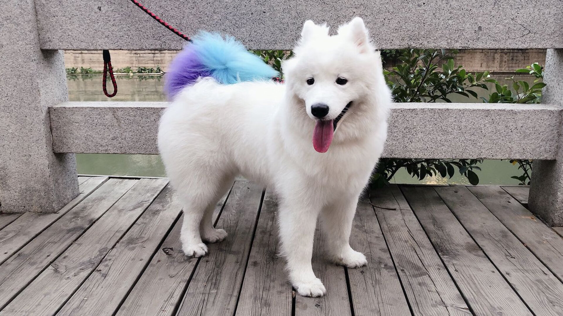 真实战术与想象艺术，足球世界的双重奏鸣