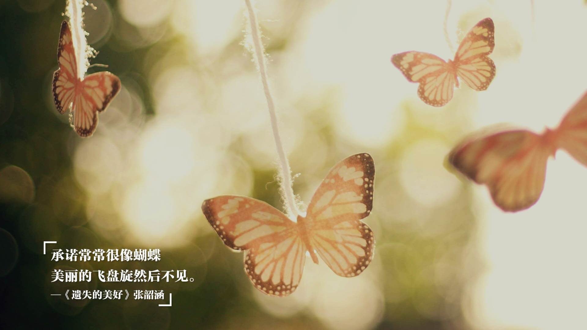 库里如日升,当太阳终结吉林,攻防统治的哲学