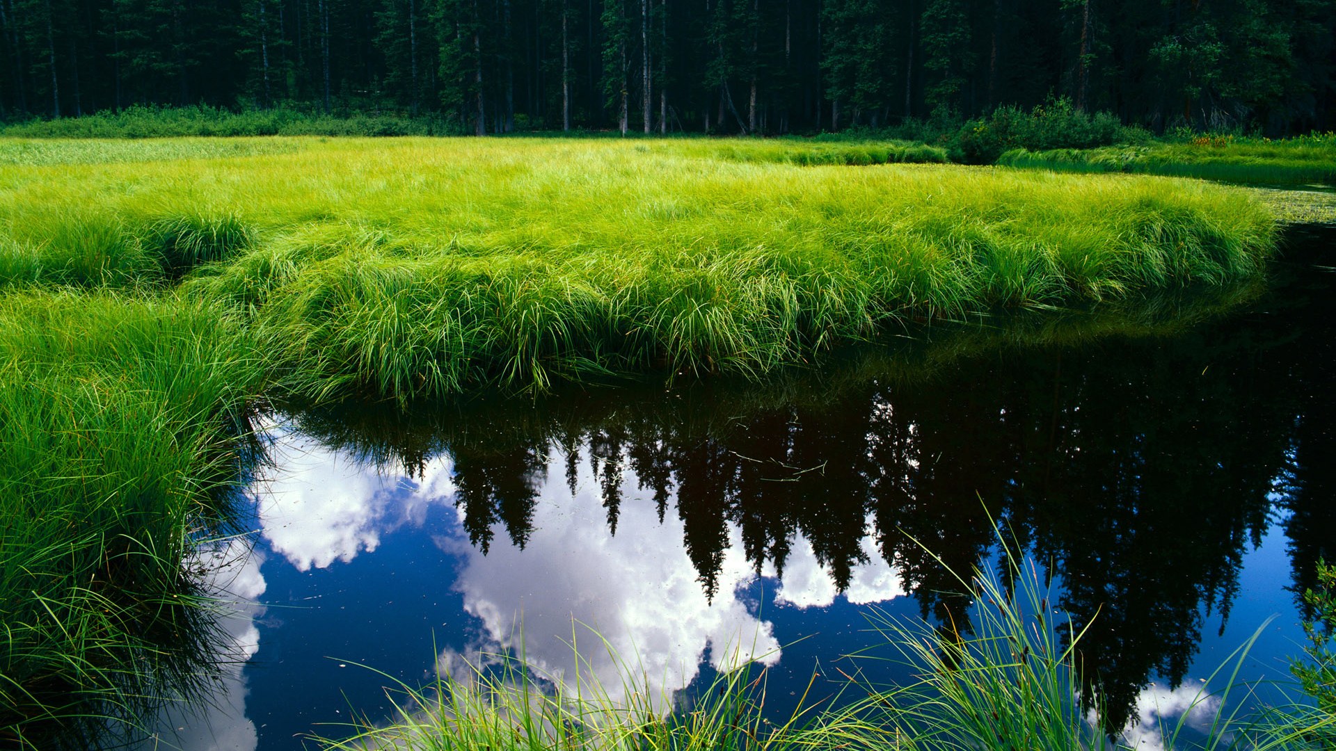 当NBA顶级防守遇见CBA华丽进攻，2026世界杯这场矛盾对决为何唯一？