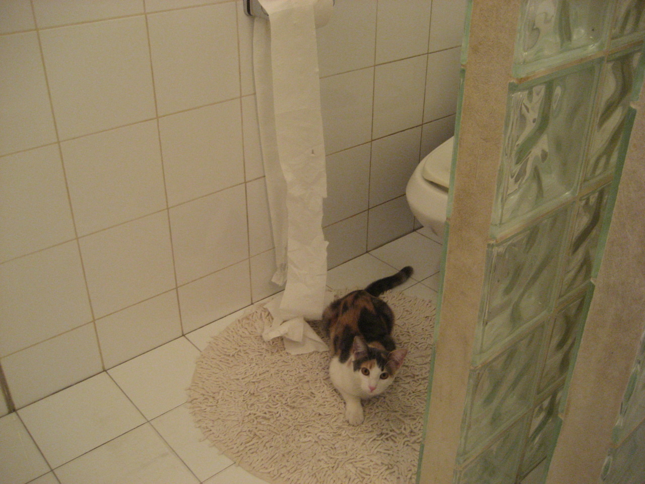 惊涛骇浪!关键先生乔治一波流主宰比赛,北京队上演逆转好戏