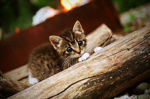 爱游戏tv-元宇宙东决启示录，巴拉圭数据狂潮击穿德国战车防线