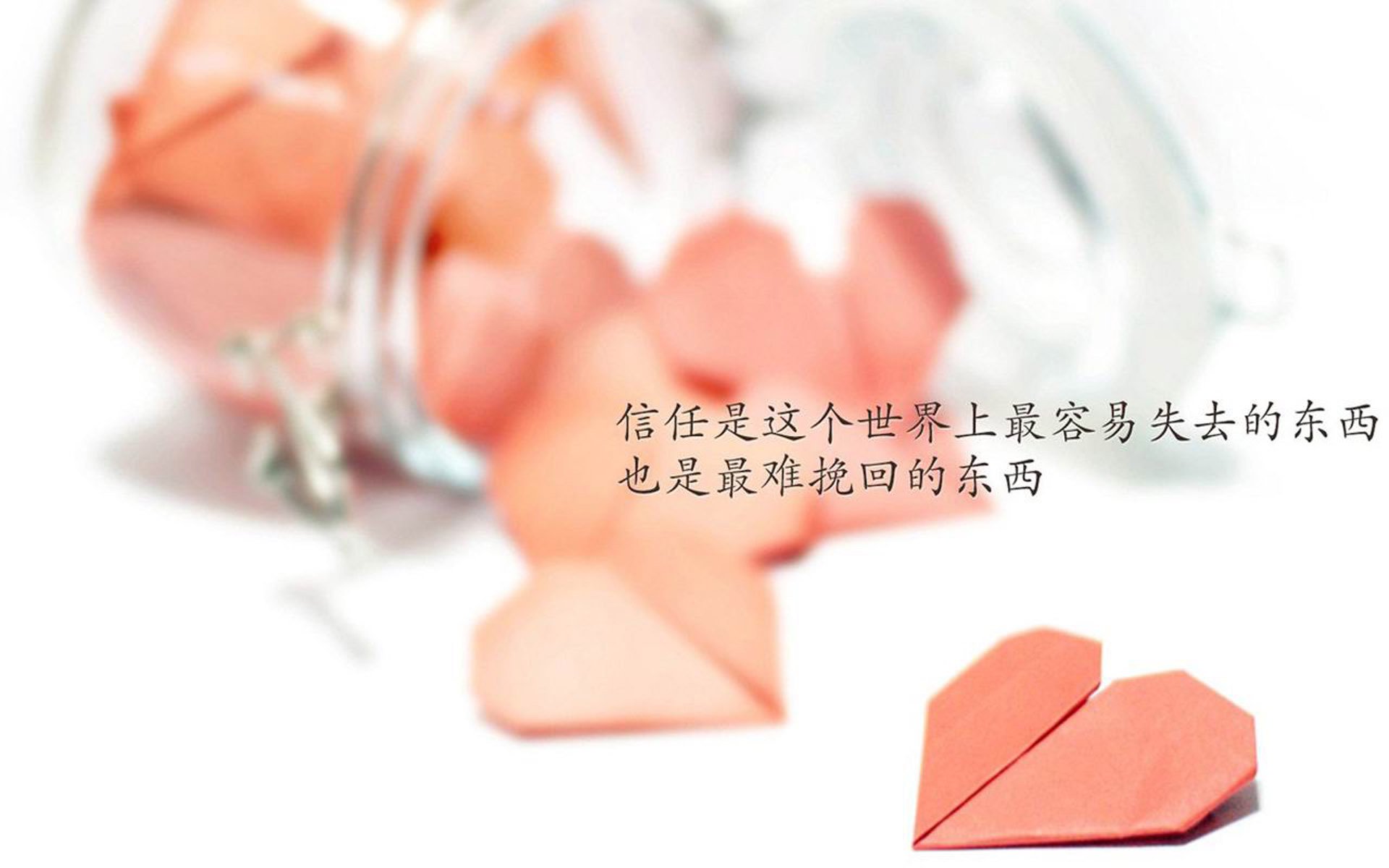 战车折戟,黑星闪耀,布罗佐维奇独舞引领加纳风暴,E组焦点战演绎世界杯唯一经典