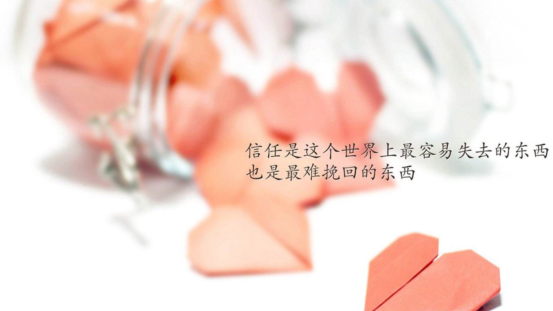 宿命的交错,2026世界杯B组生死战,苏亚雷斯直塞撕裂波兰防线,伊朗改写亚洲足球版图