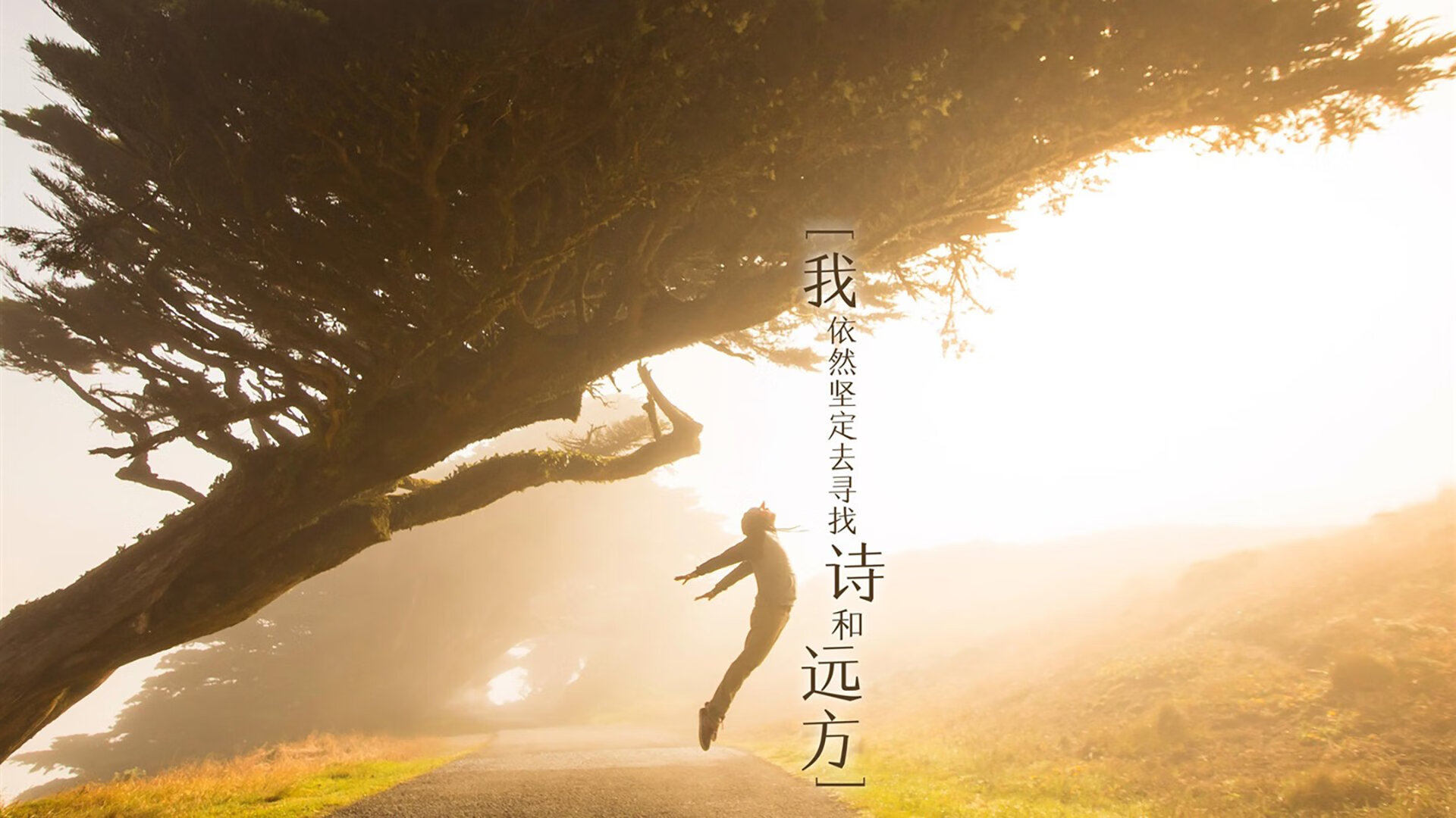 沙漠之鹰与玫瑰的对决,阿联酋如何用库尔图瓦的第12人光芒,改写世界杯头名之争的钢铁剧本