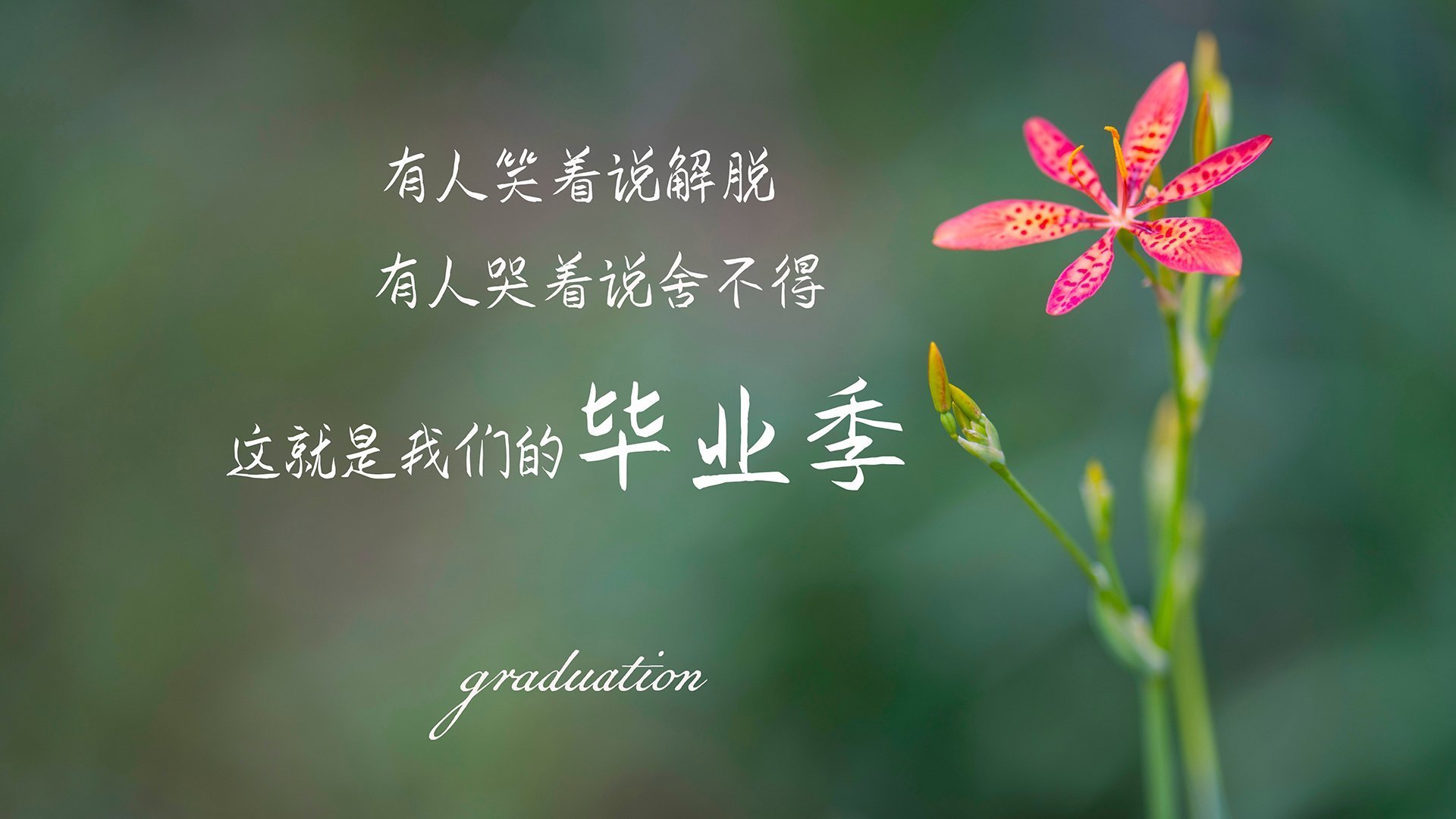 爱游戏大厅-桑巴风暴下的孤胆英雄，当卢卡库的咆哮撕裂巴西防线，防守反击的极致美学